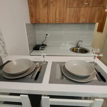 Apartman-studio Soko Banja