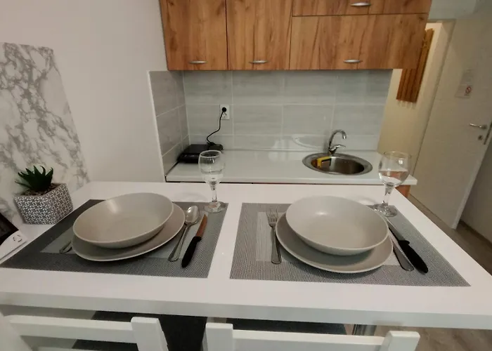 Apartman-studio Sokobanja